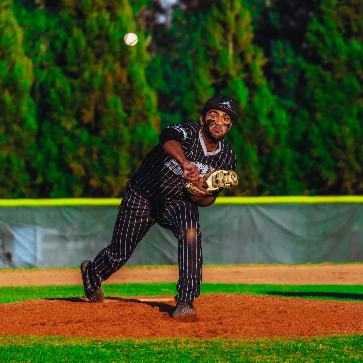 Willie_Prince_Kennesaw_Mountain_baseball.32